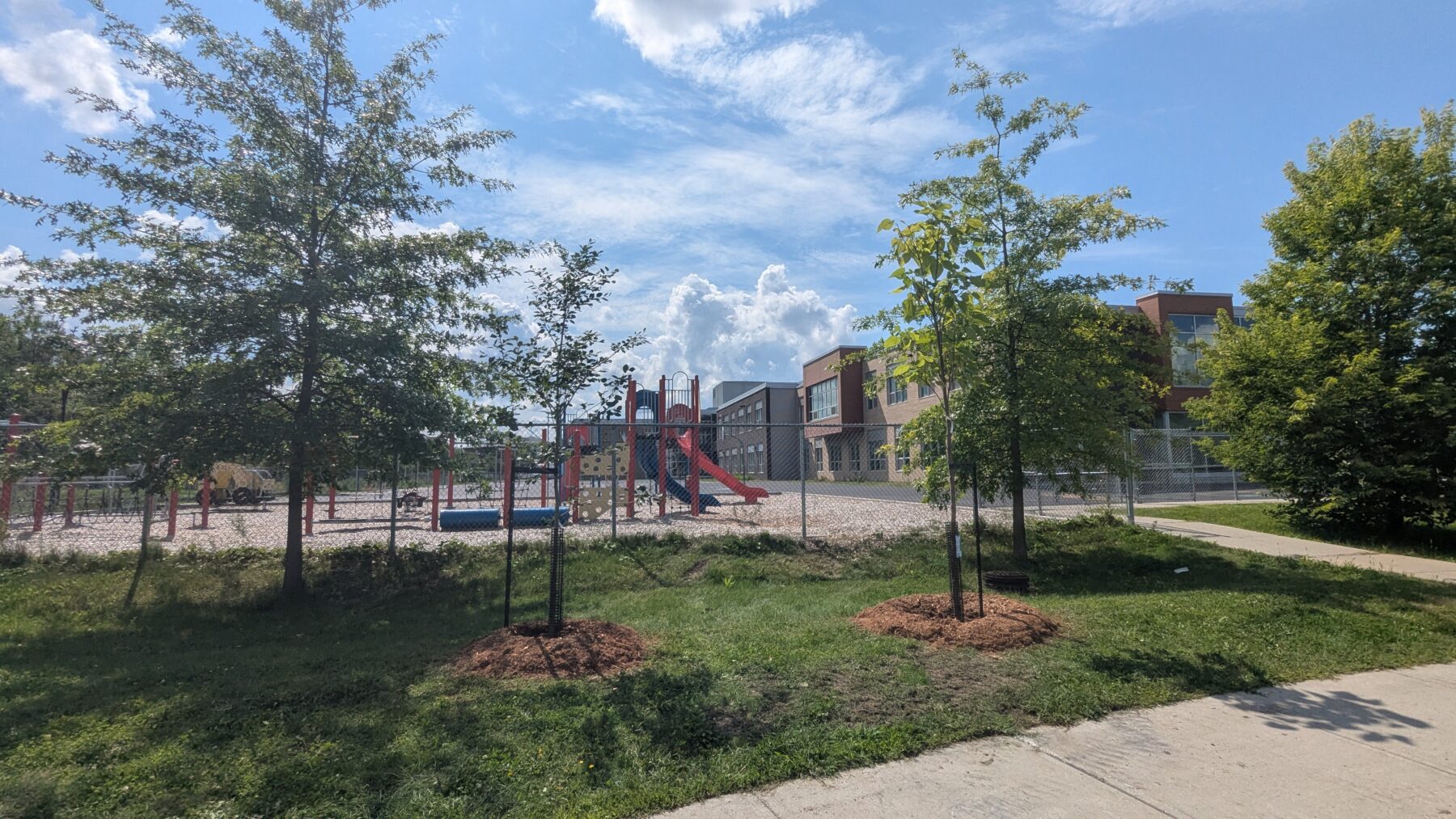Plantation d'arbres à l'école du Jardin-Bienville, la cours d'école est en arrière plan.